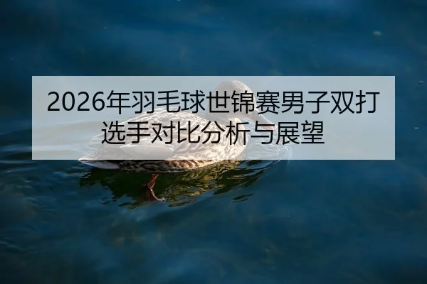2026年羽毛球世锦赛男子双打选手对比分析与展望（HTH Sports）